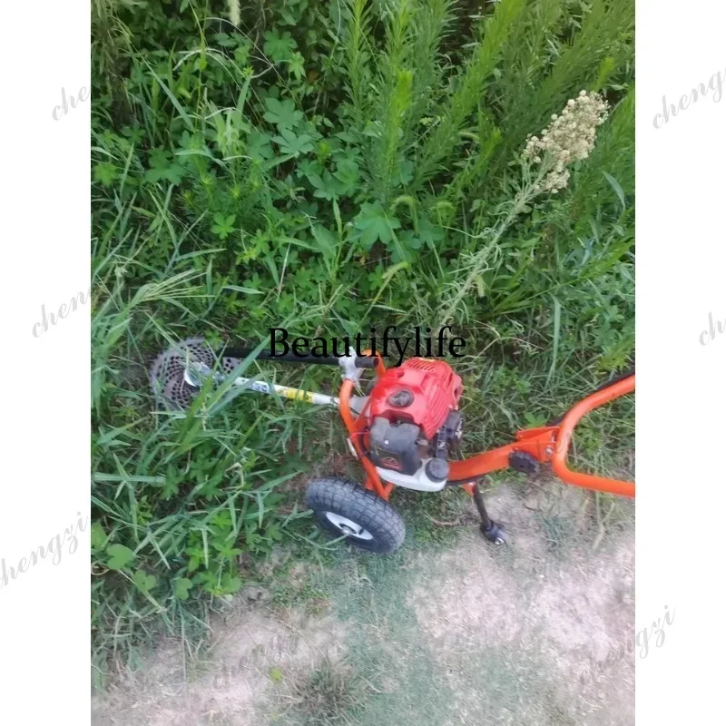 L178 Lawn mower hand push lawn - Gardening Tools And Equipment reseña y precio