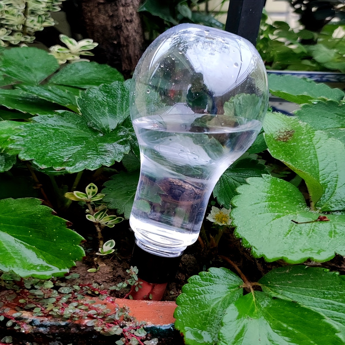 Garden Automatic Watering Tool - Gardening Tools Water reseña y precio