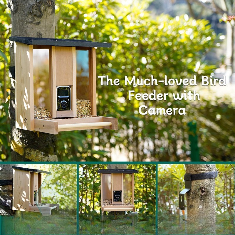 AI intelligent bird feeder wit - Gardening Tools Definition reseña y precio