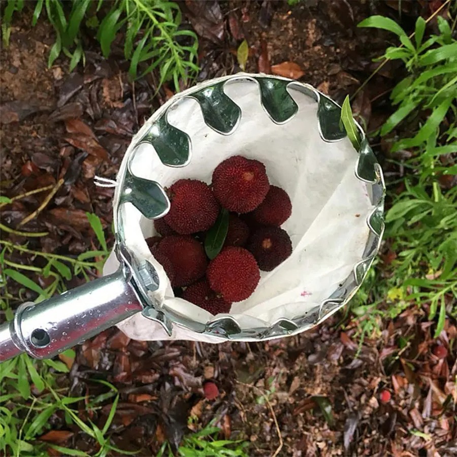 3-in-1 Fruit Harvesting Tool S - Gardening Tools Wholesale reseña y precio