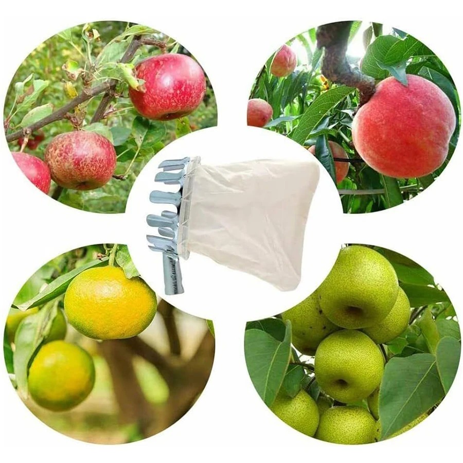 3-in-1 Fruit Harvesting Tool S - Gardening Tools Wholesale reseña y precio