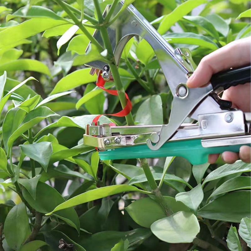 Garden Plants Branch Hand Tyin - Gardening Tools Kit For Home Garden reseña y precio