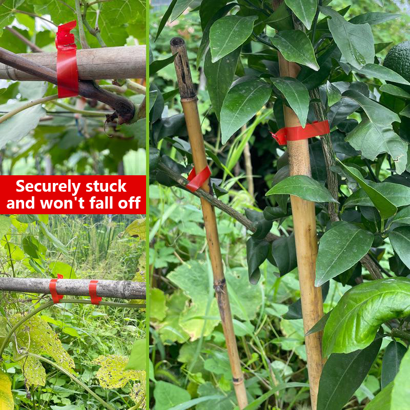 Garden Plants Branch Hand Tyin - Gardening Tools Kit For Home Garden reseña y precio