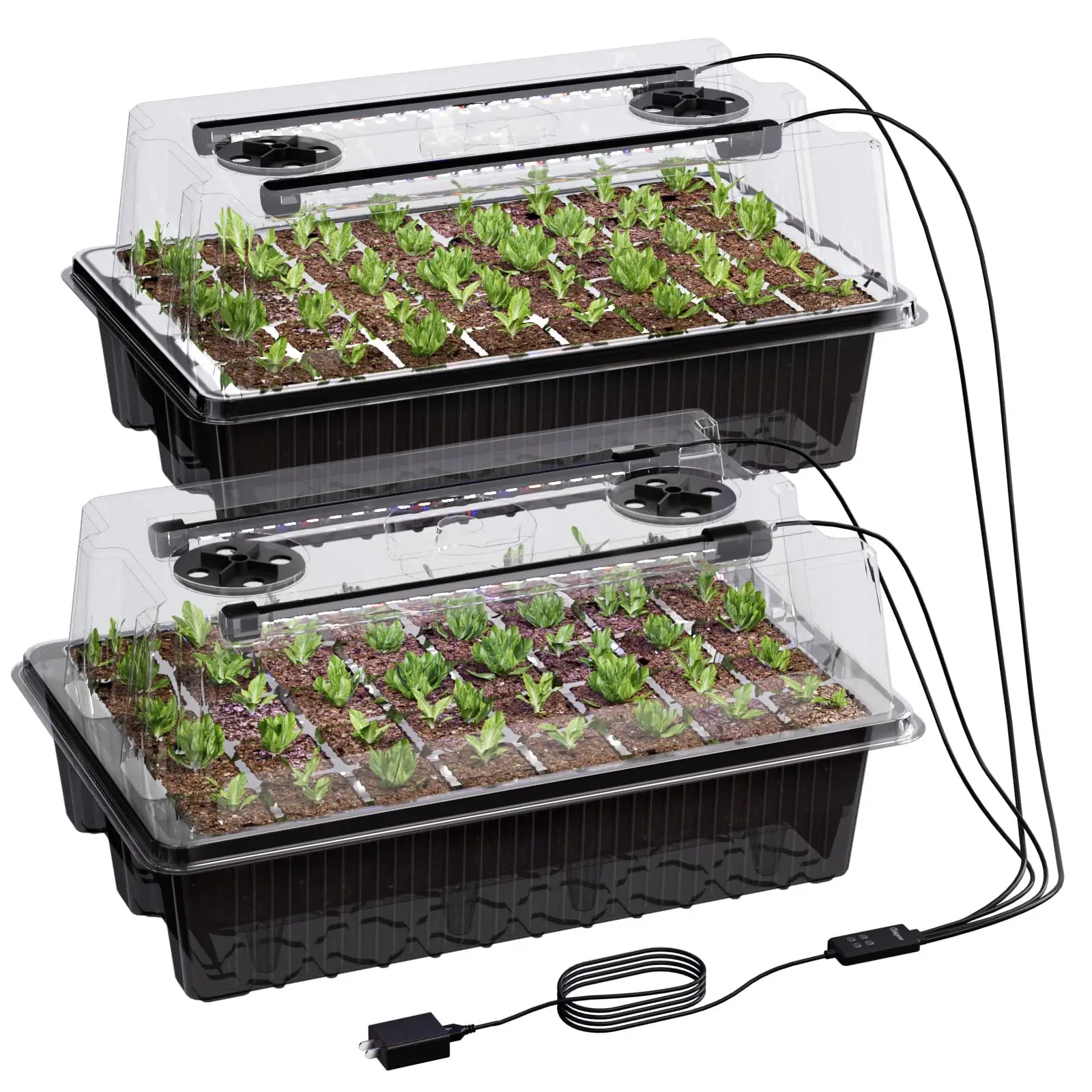 80-Cell Self-Watering Seed Sta - Seed Starter Trays reseña y precio