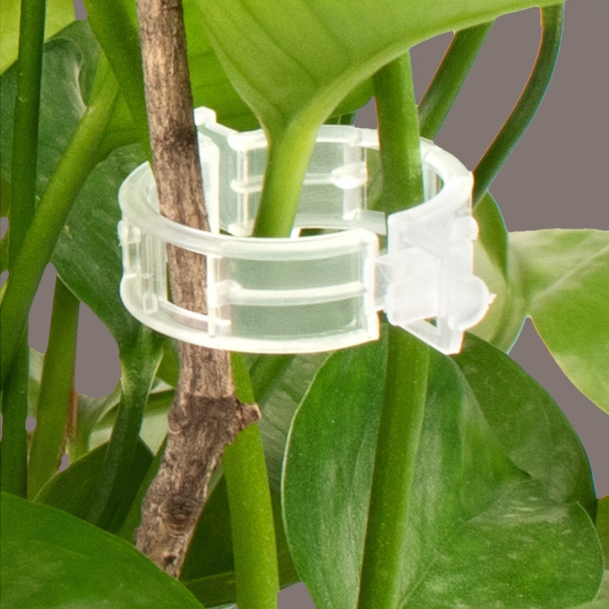 Wholesale Plant Support Clips  - Gardening Tools Wholesale reseña y precio