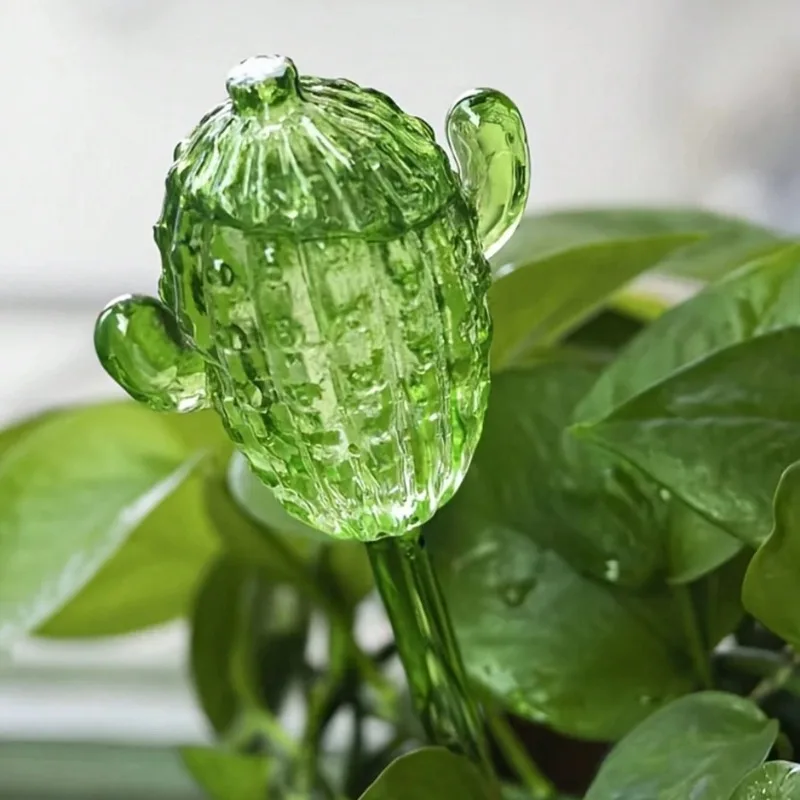 Unique Clear Plant Watering Ca - Gardening Tools For Beginners reseña y precio