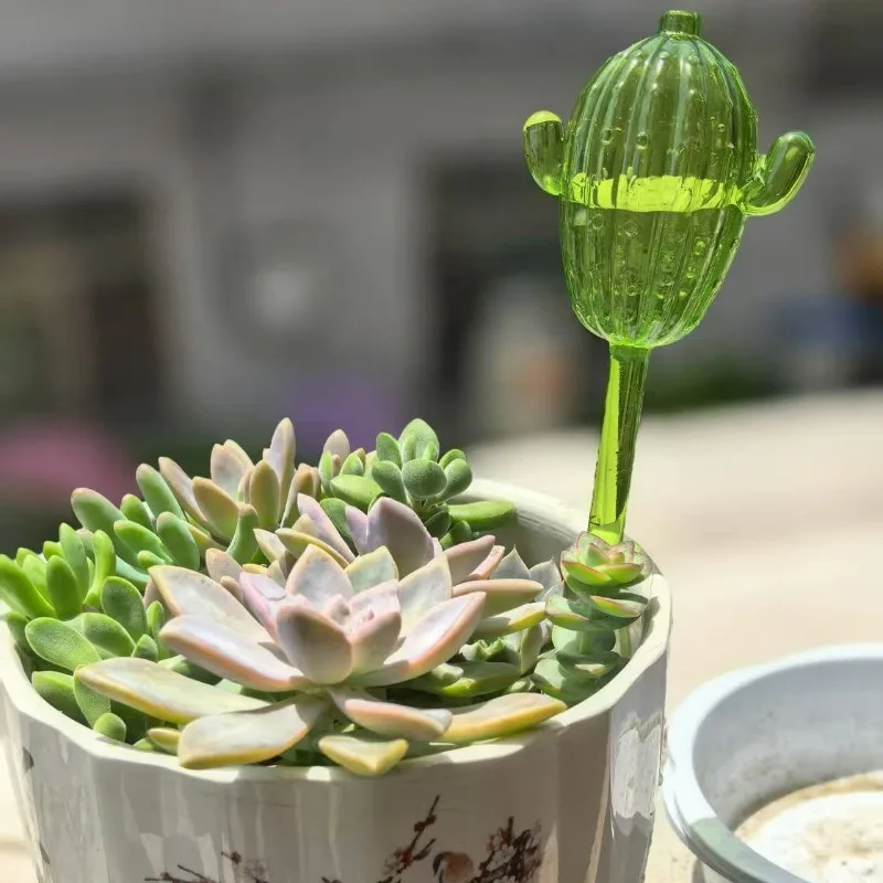 Unique Clear Plant Watering Ca - Gardening Tools For Beginners reseña y precio