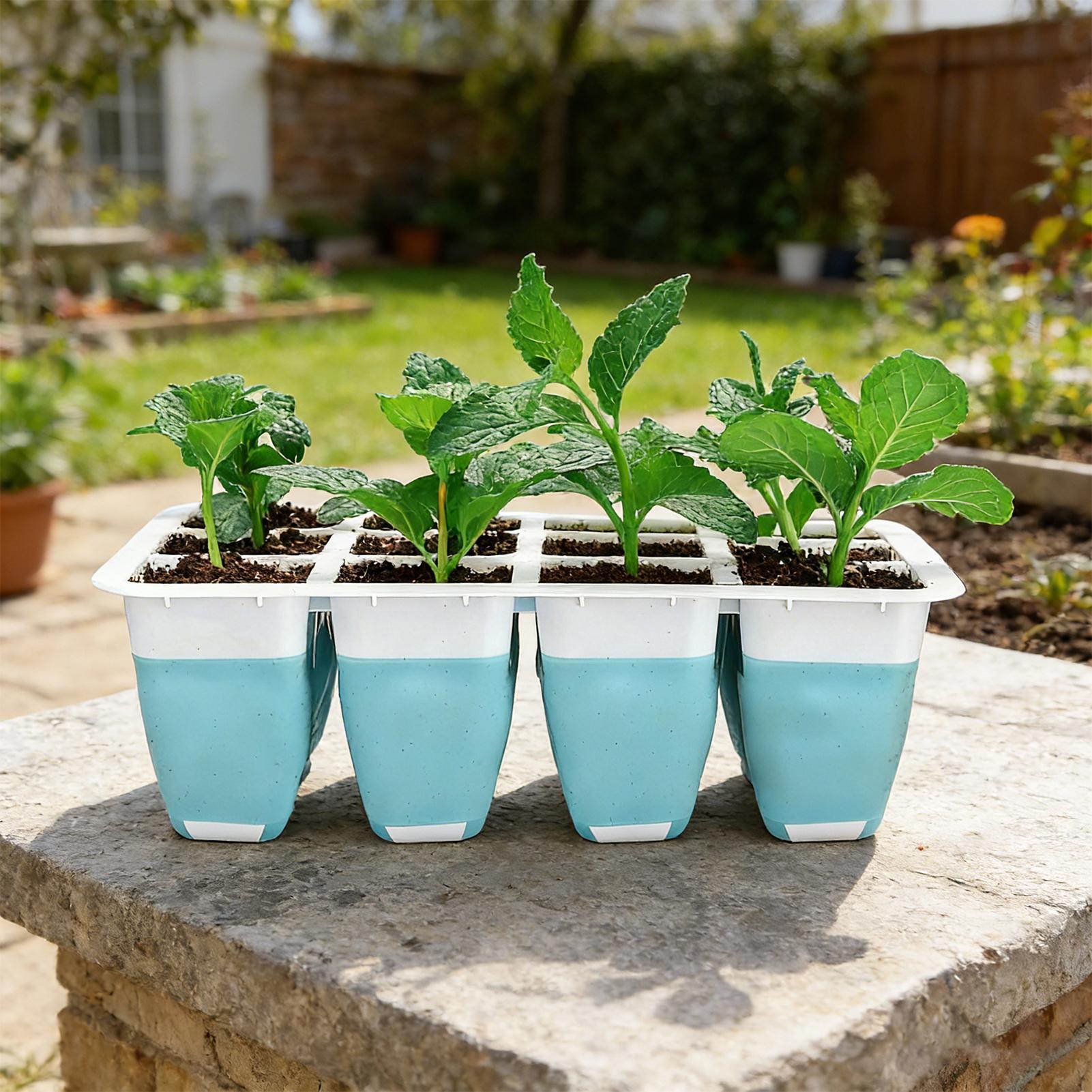 5 Pack Silicone Seed Starter T - Seed Starter Trays reseña y precio