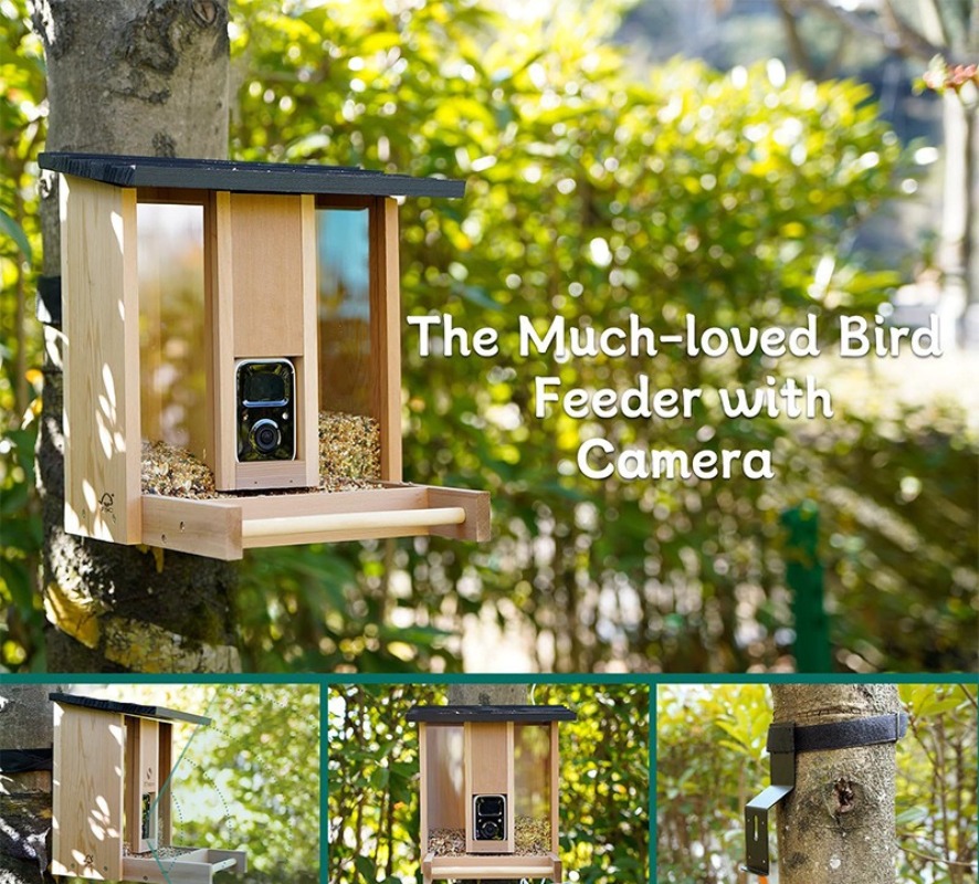AI intelligent bird feeder wit - Gardening Tools Definition reseña y precio