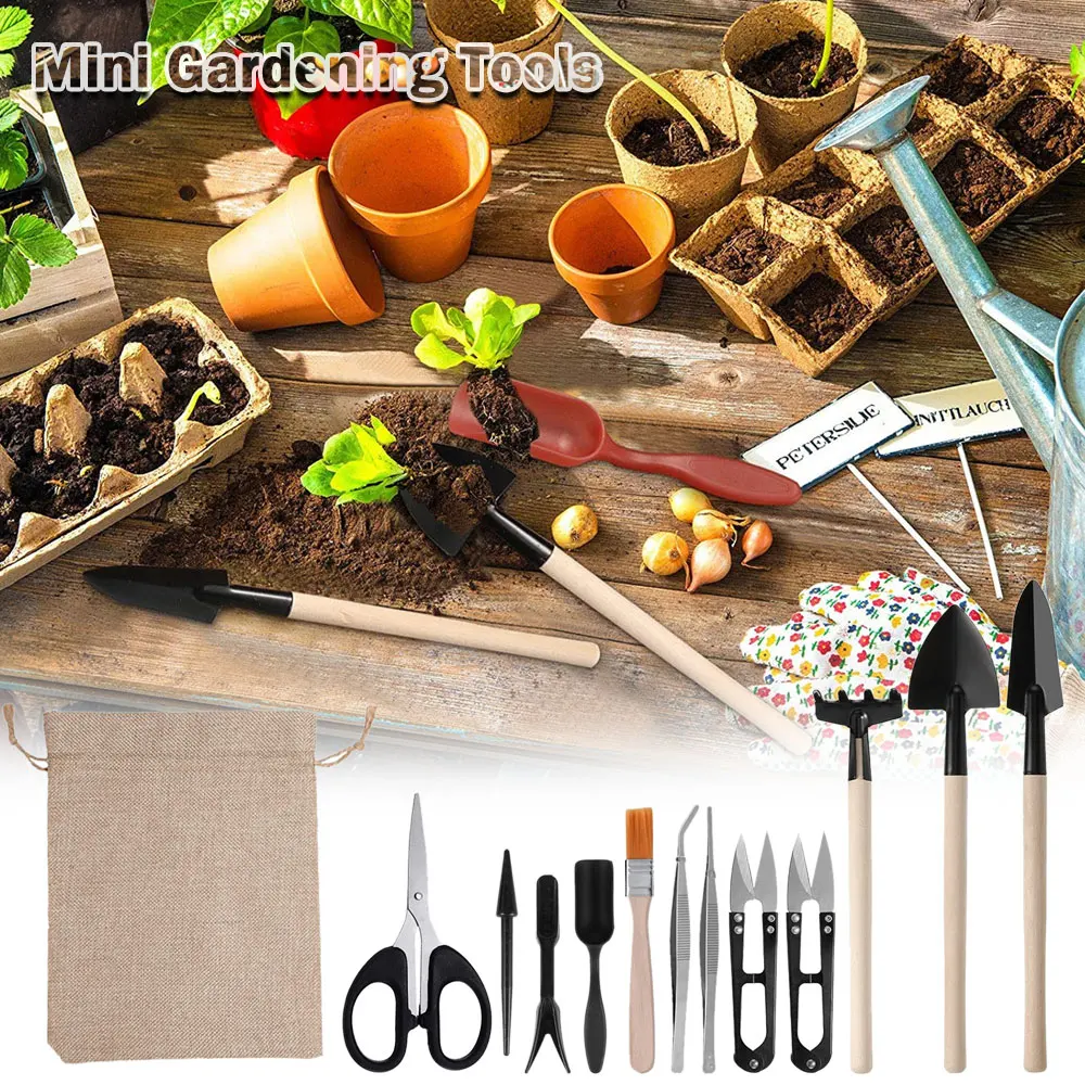 13PCS Succulent Plants Tool Se - Gardening Tools Kit For Home Garden reseña y precio