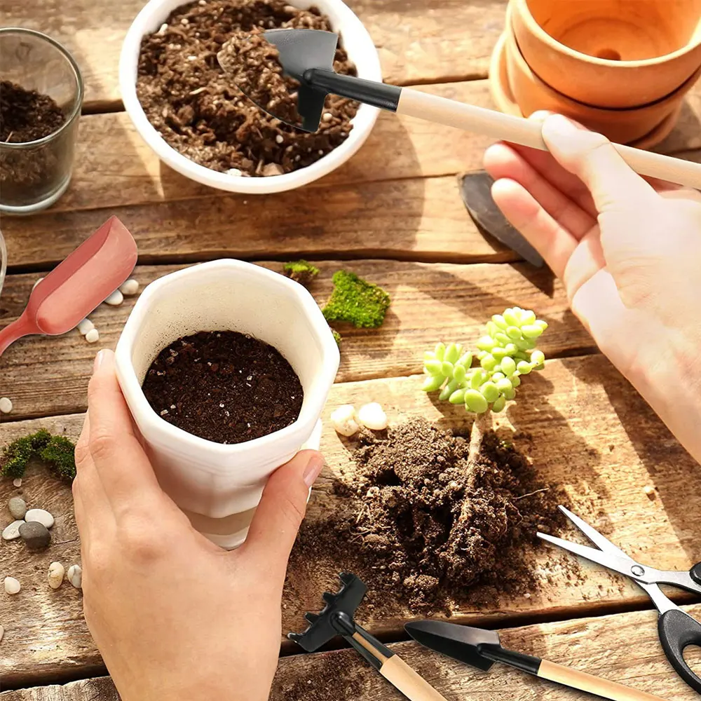 13PCS Succulent Plants Tool Se - Gardening Tools Kit For Home Garden reseña y precio