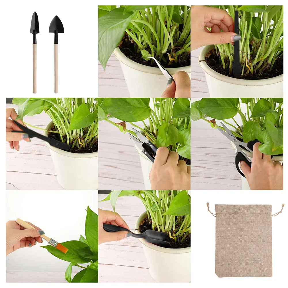 13PCS Succulent Plants Tool Se - Gardening Tools Kit For Home Garden reseña y precio