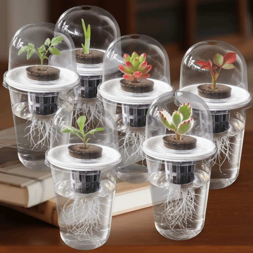 1-5pc Visible Clear Plants Ger - Seed Starter Trays reseña y precio