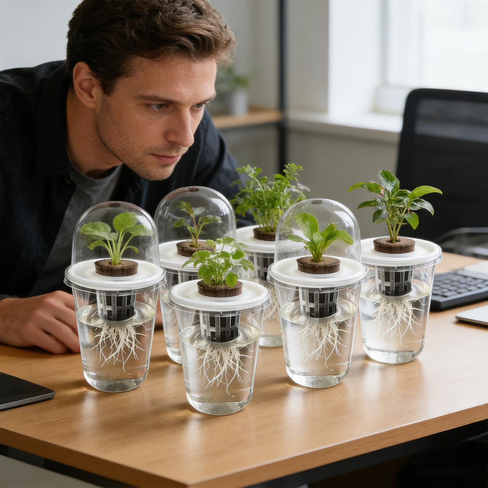 1-5pc Visible Clear Plants Ger - Seed Starter Trays reseña y precio