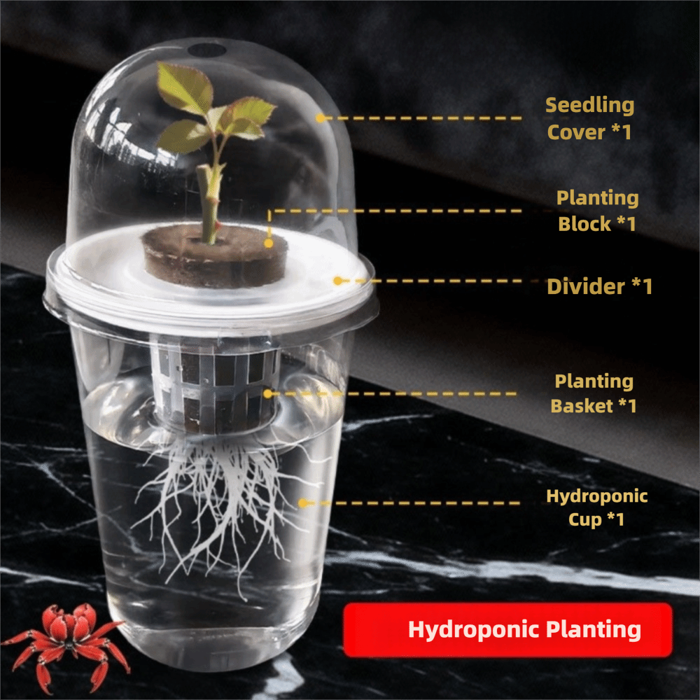 1-5pc Visible Clear Plants Ger - Seed Starter Trays reseña y precio