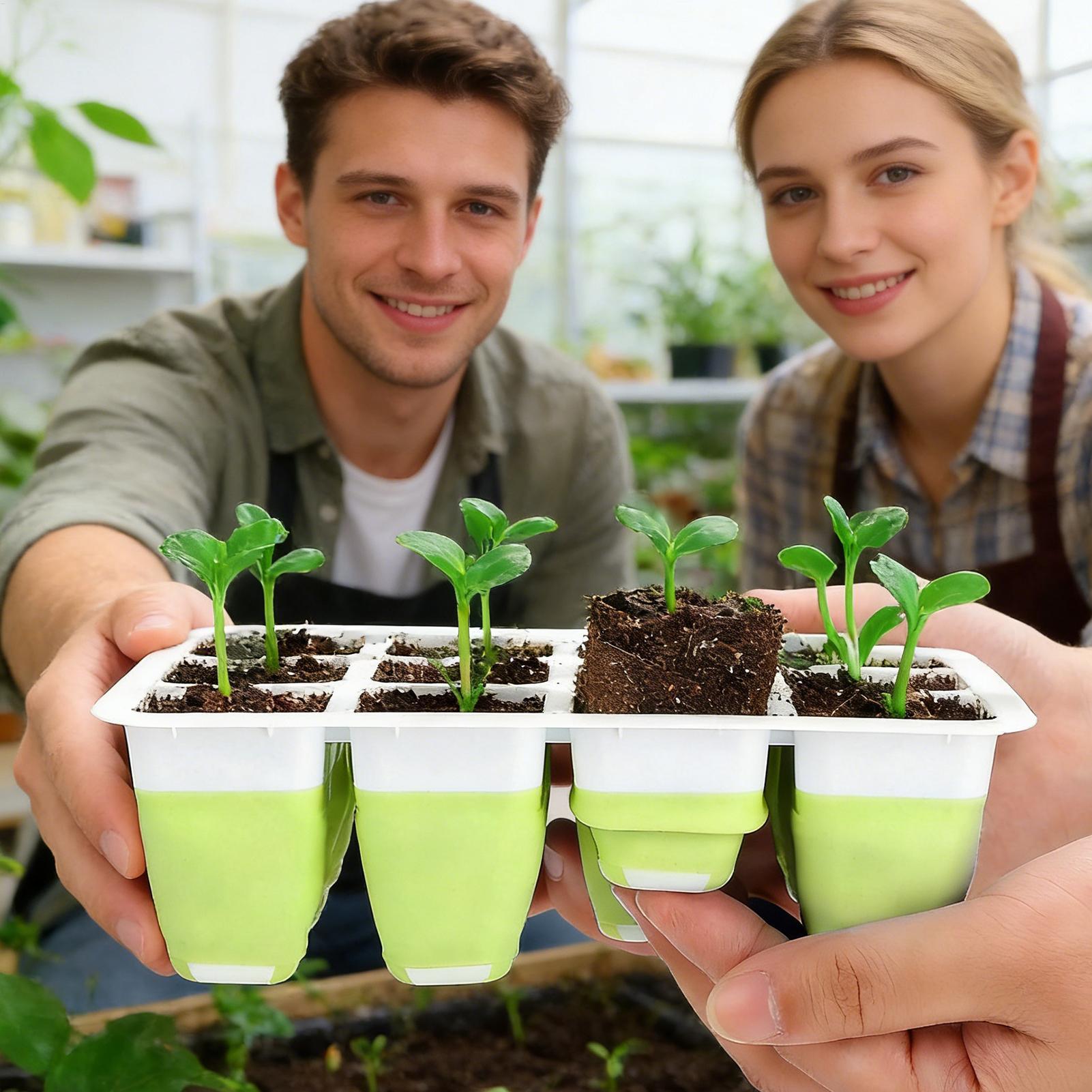 12-Cell Silicone Seedling Star - Seed Starter Trays reseña y precio