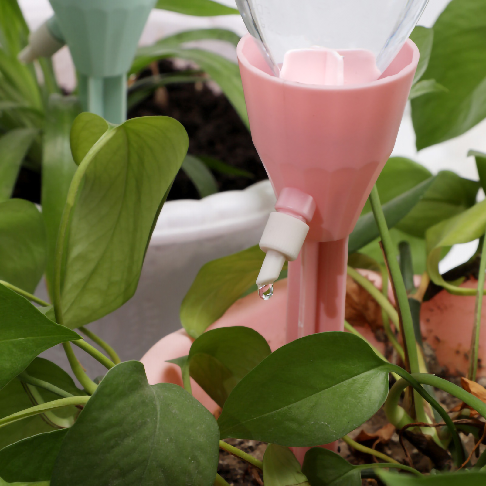 Auto Drippers Automatic Wateri - Gardening Tools Water reseña y precio