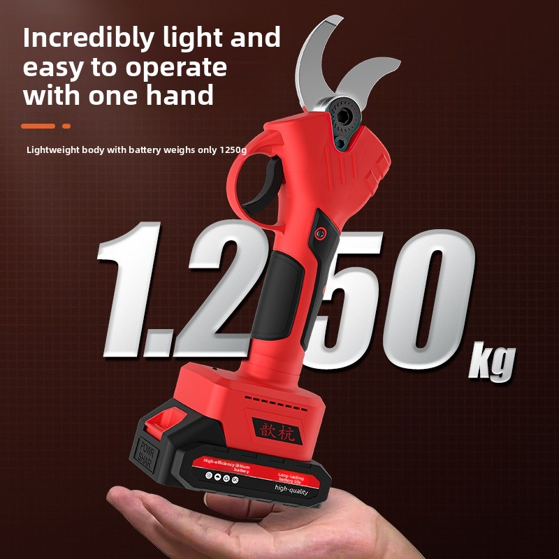 Rechargeable Lithium Battery E - Gardening Tools Rake reseña y precio