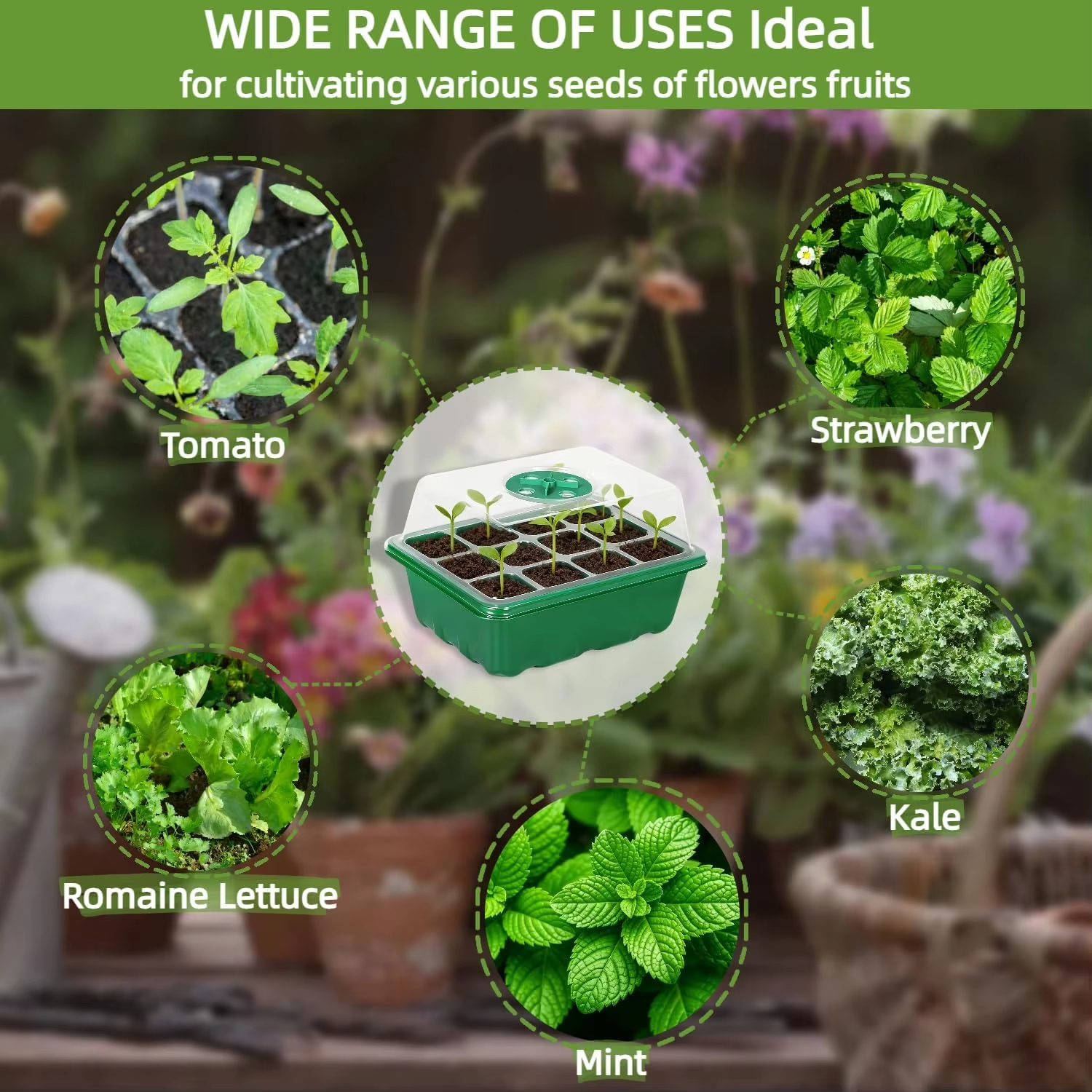 3Pcs Seed Starter Tray Mini Gr - Seed Starter Trays reseña y precio