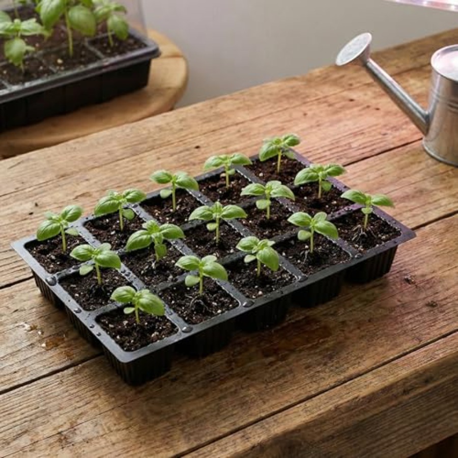 5-Set Seed Starter Tray Kits D - Seed Starter Trays reseña y precio