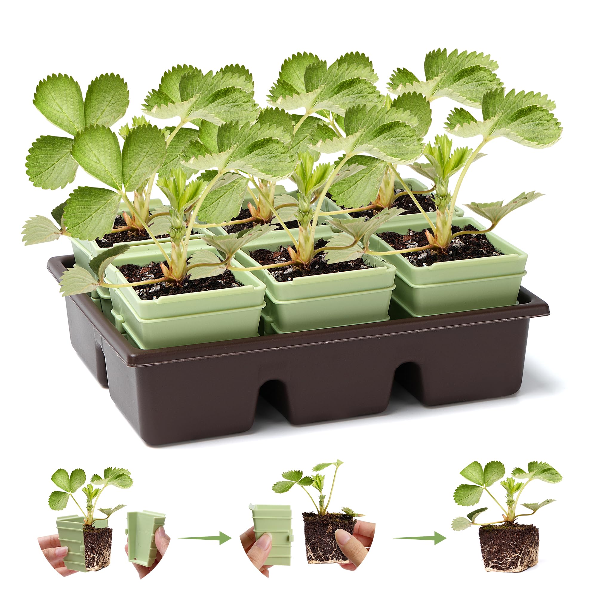 Side-Open Seed Starter Tray 8- - Seed Starter Trays reseña y precio