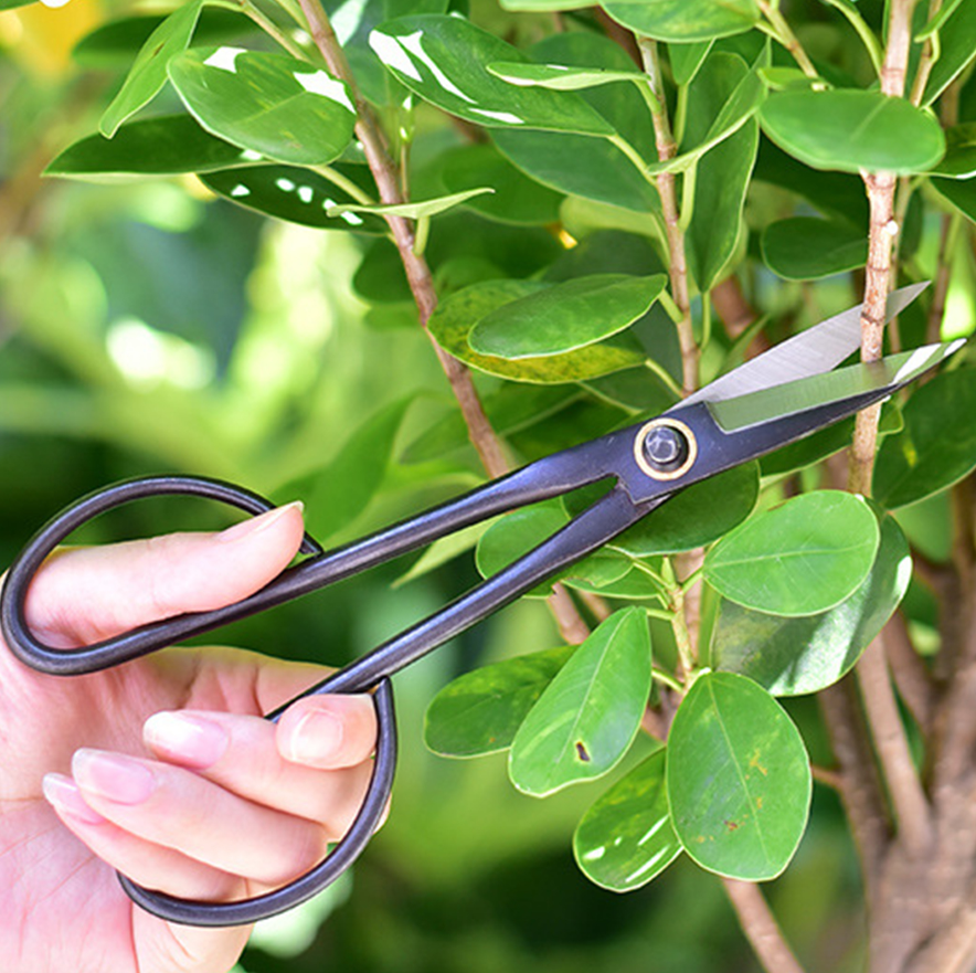 20.5cm Beginner Bonsai Tool Lo - Gardening Tools For Beginners reseña y precio