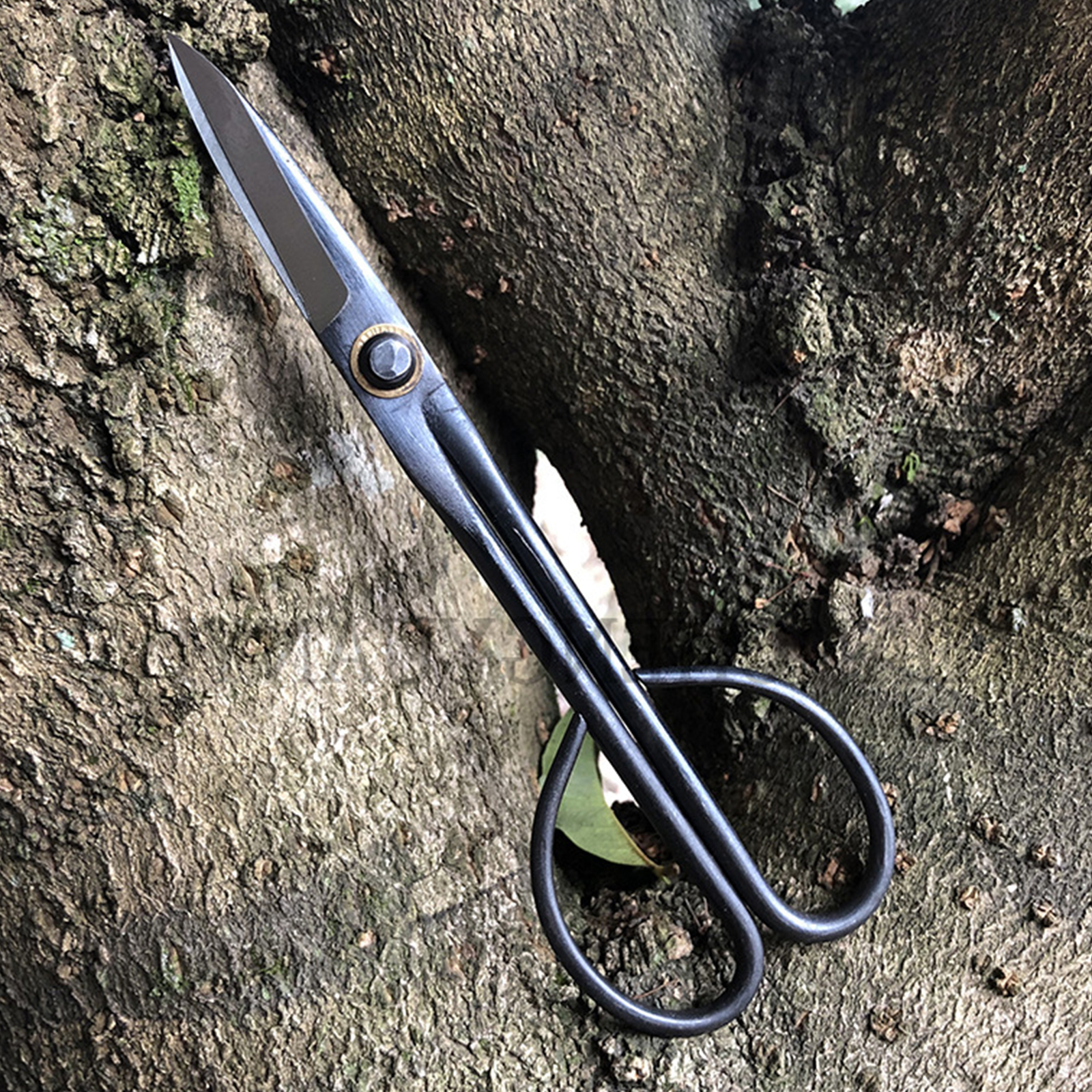 20.5cm Beginner Bonsai Tool Lo - Gardening Tools For Beginners reseña y precio